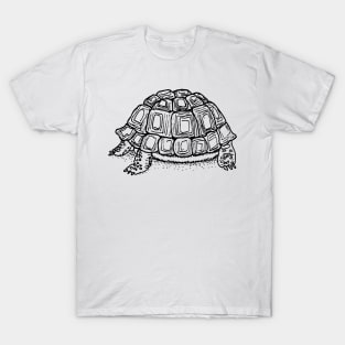 Turtle T-Shirt